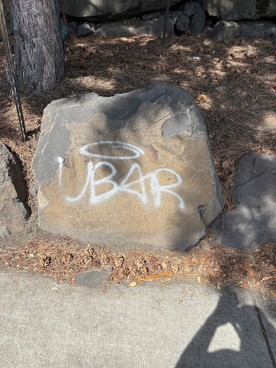 Dental Office Graffit Removal